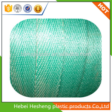 Chine Webbing PP fronde et écharpe plate au prix d&#39;usine